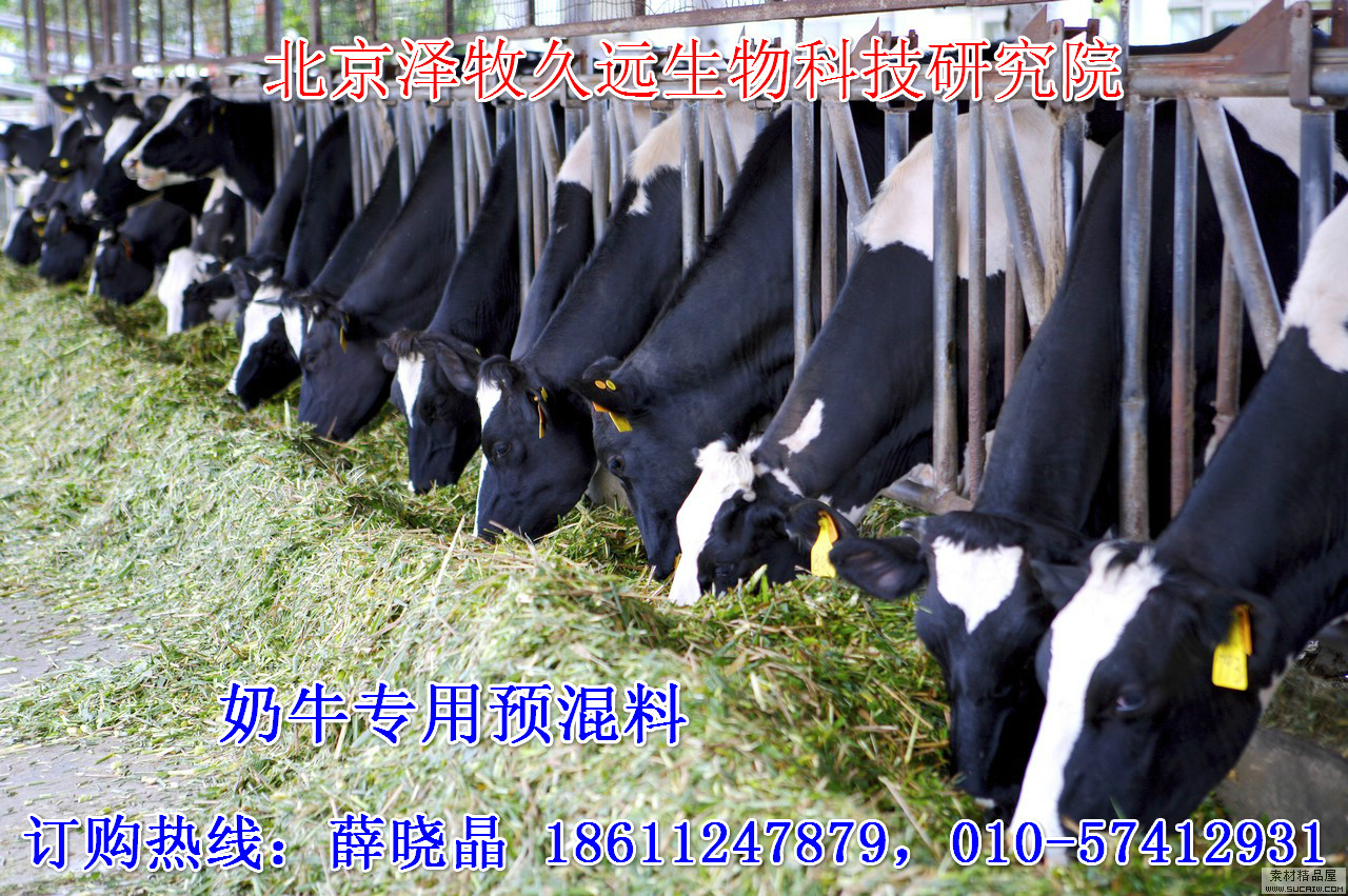 2、奶牛飼料廠有哪些？